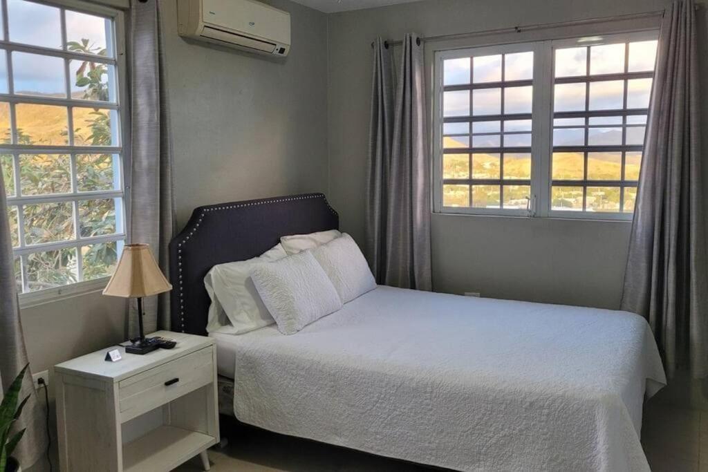 Coamo Beautiful House, Ac, 10Min Coamo Hot Springsアパートメント エクステリア 写真